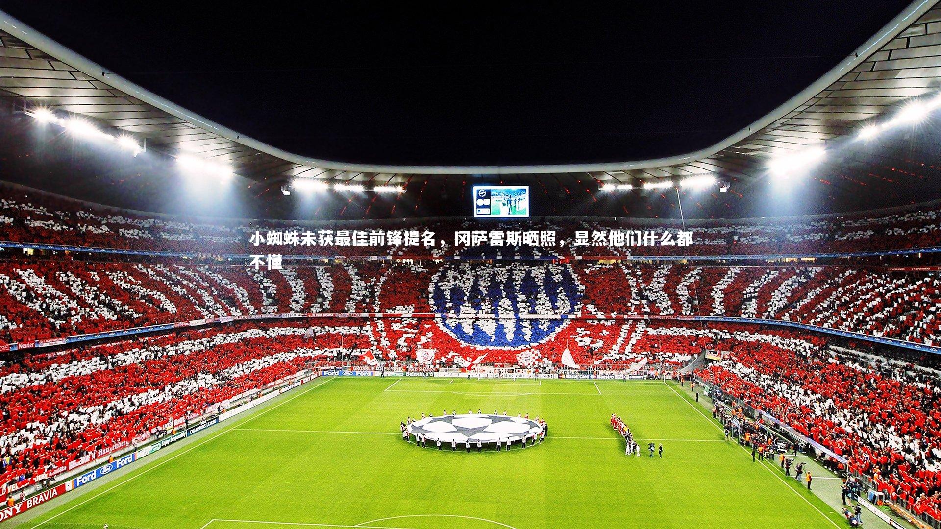 【乐竟体育官方网站】小蜘蛛未获最佳前锋提名，冈萨雷斯晒照，显然他们什么都不懂